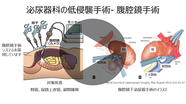 診療科紹介動画