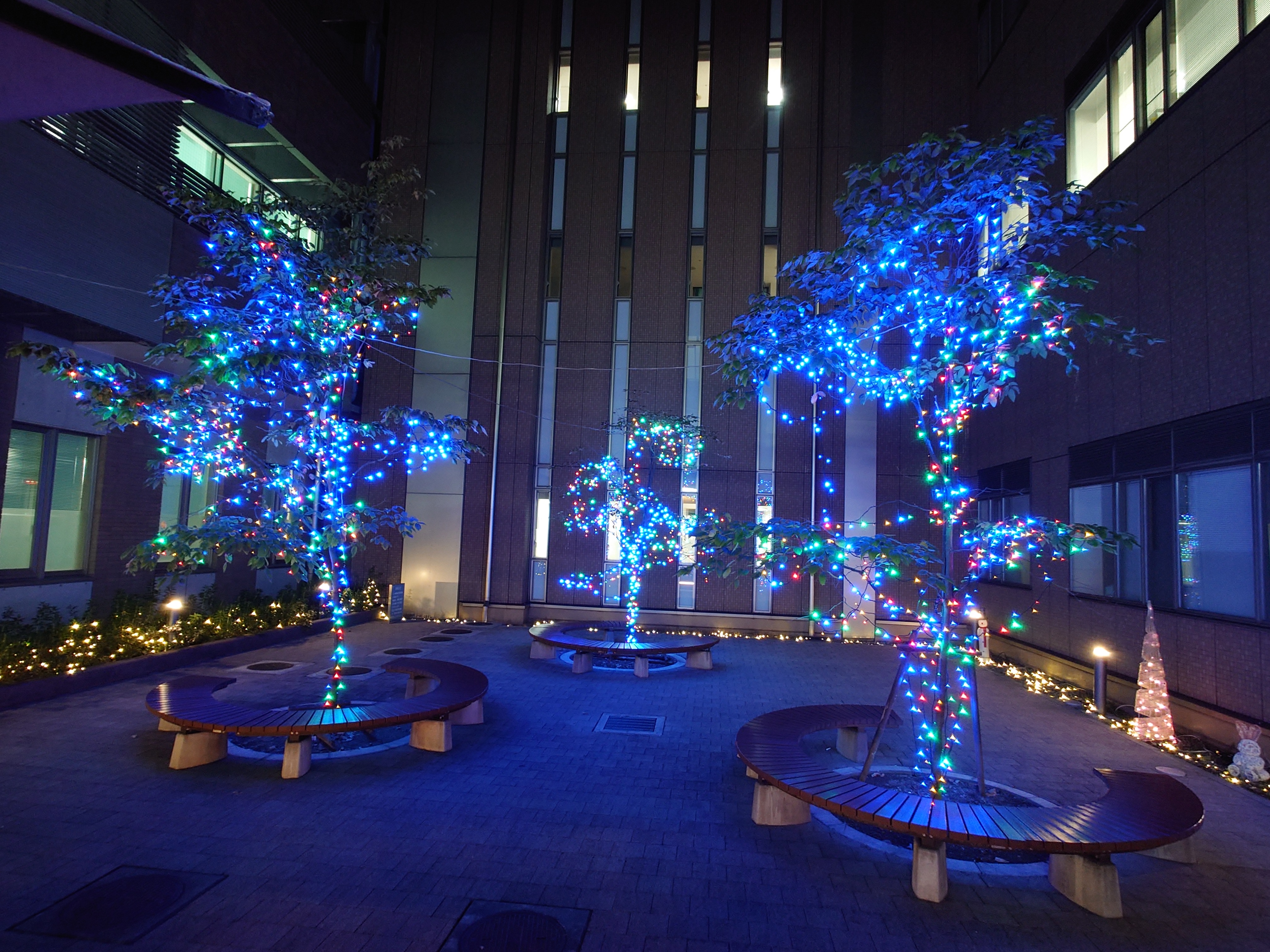 イルミネーション点灯式