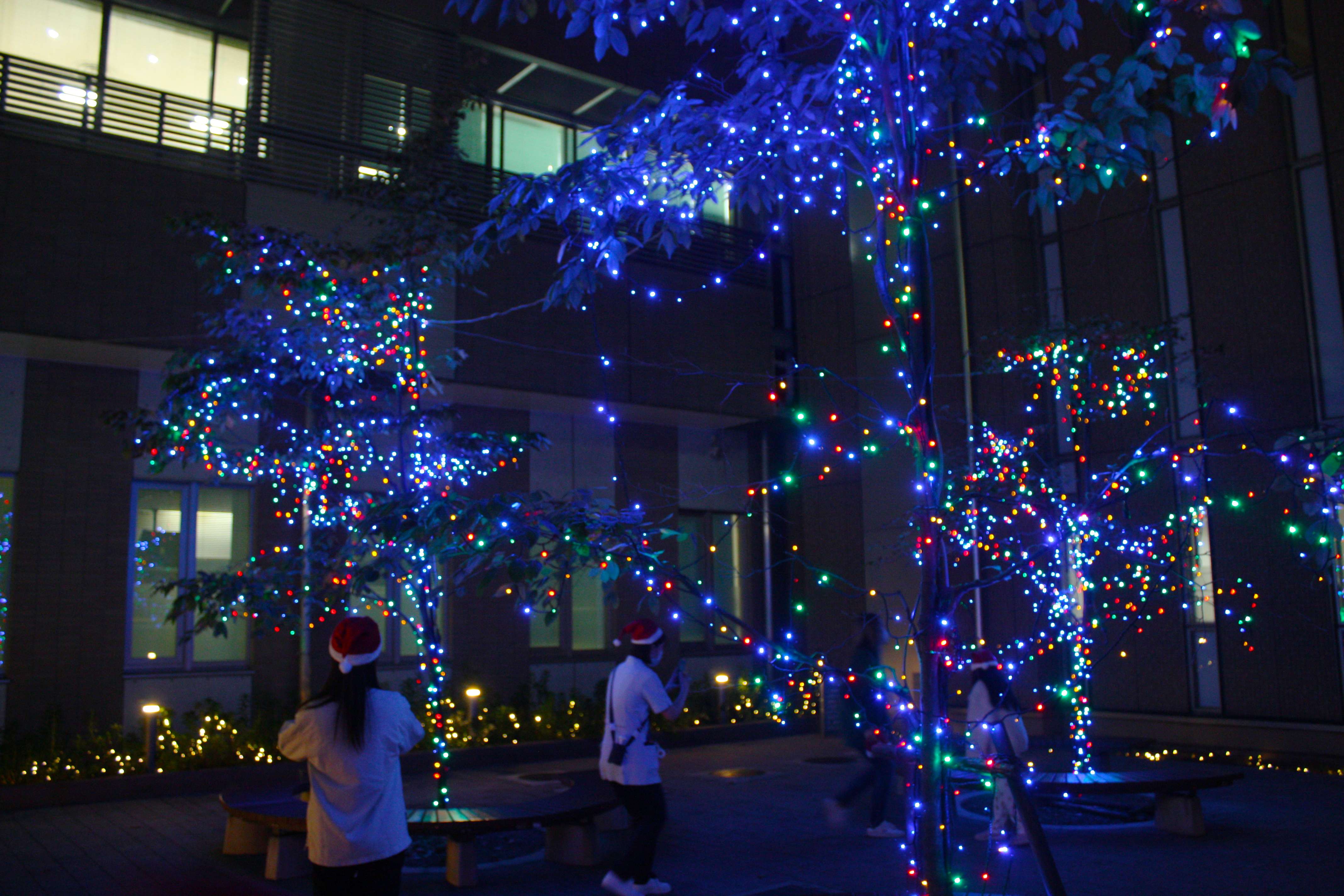 憩いの広場イルミネーション