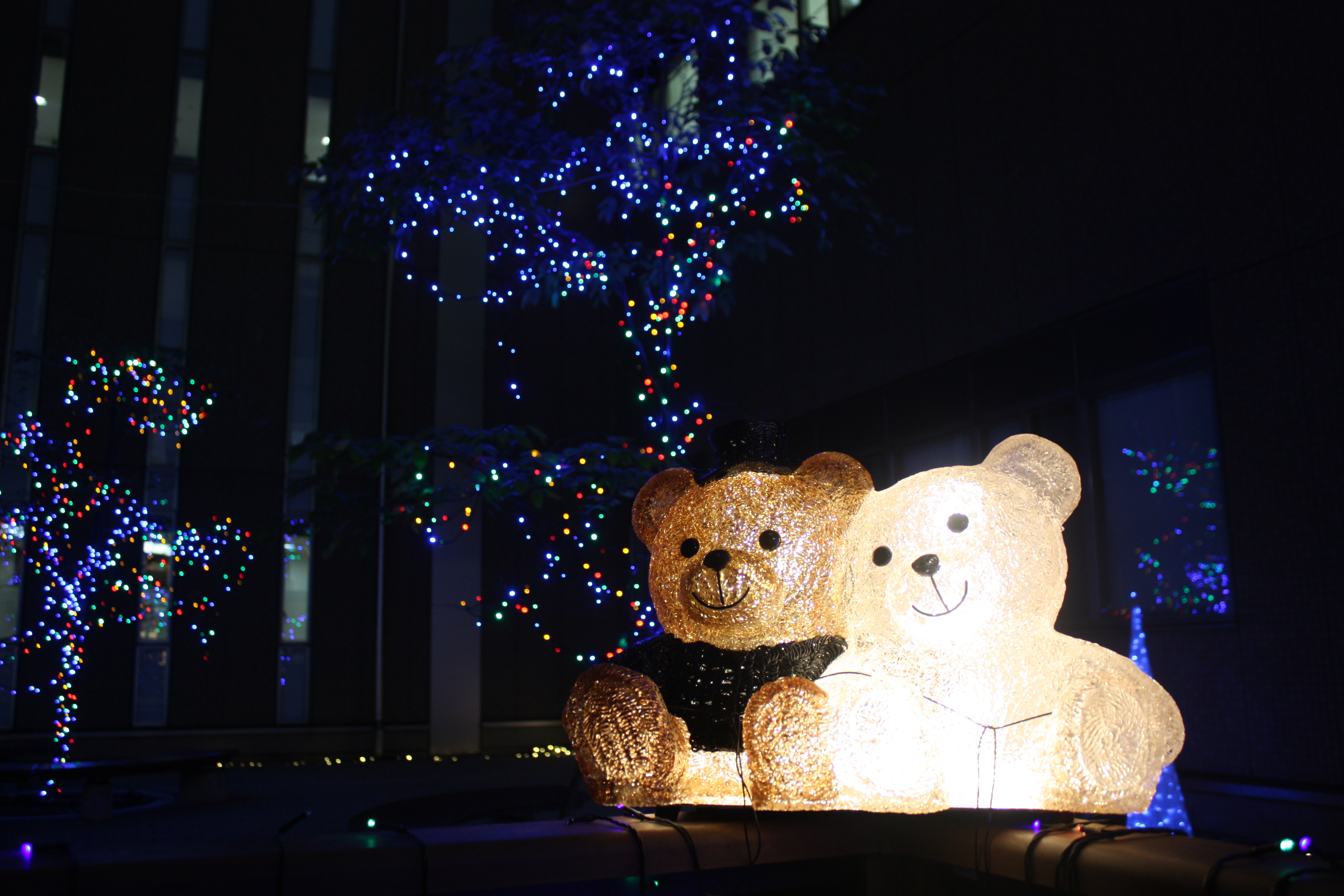 憩いの広場イルミネーション