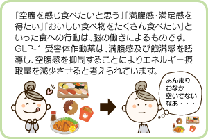 GLP-1 受容体作動薬とは